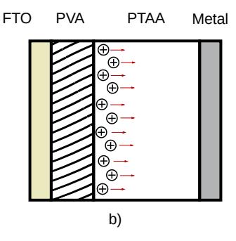 Figure 1b