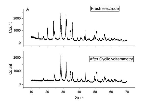 Figure 1A
